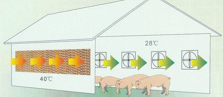 养殖畜牧行业通风降温
