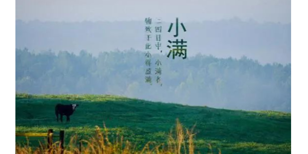 今日<i style='color:red'>小满</i>丨耀先愿你的生活，幸福美满！