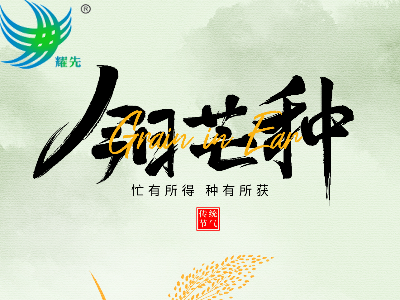 芒种遇世界环境日 | 耕耘希望，守护蔚蓝：耀先环境与您共赴绿色之约