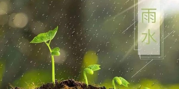 雨水 | 润泽万物，耀先环境愿你得绵远深情